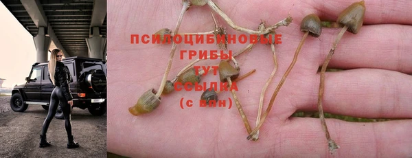 гидра Липки