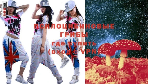 шишки Лихославль