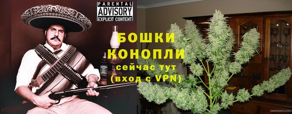 гидра Липки
