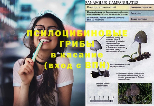 экстази Лагань