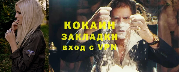 гидра Липки